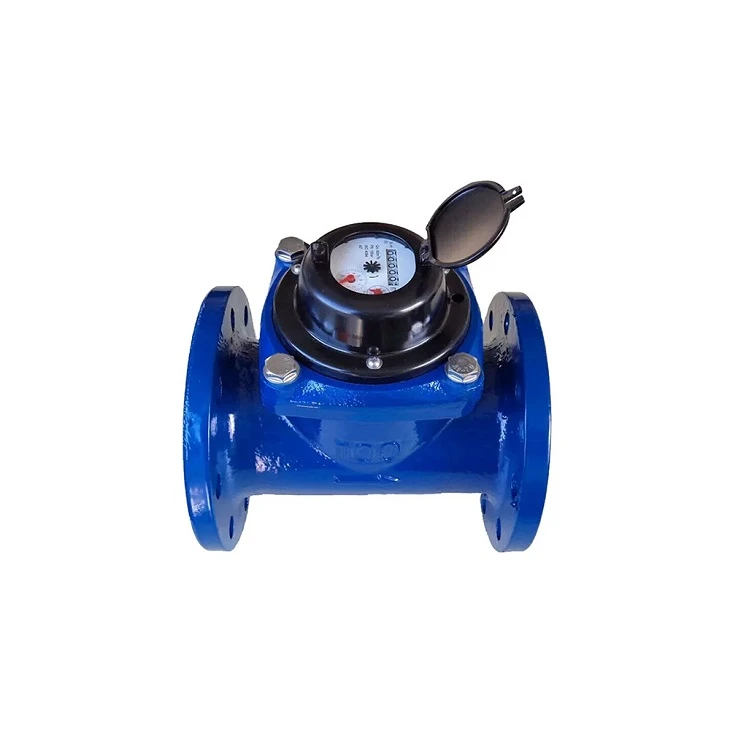 Removable Woltman Water Meter